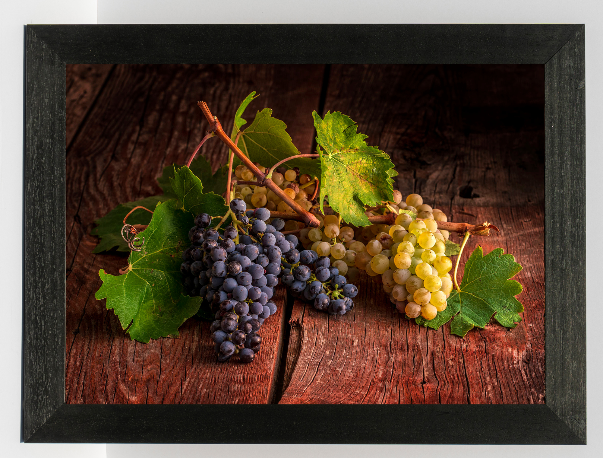 Symphony of Grapes - Duccio Nacci