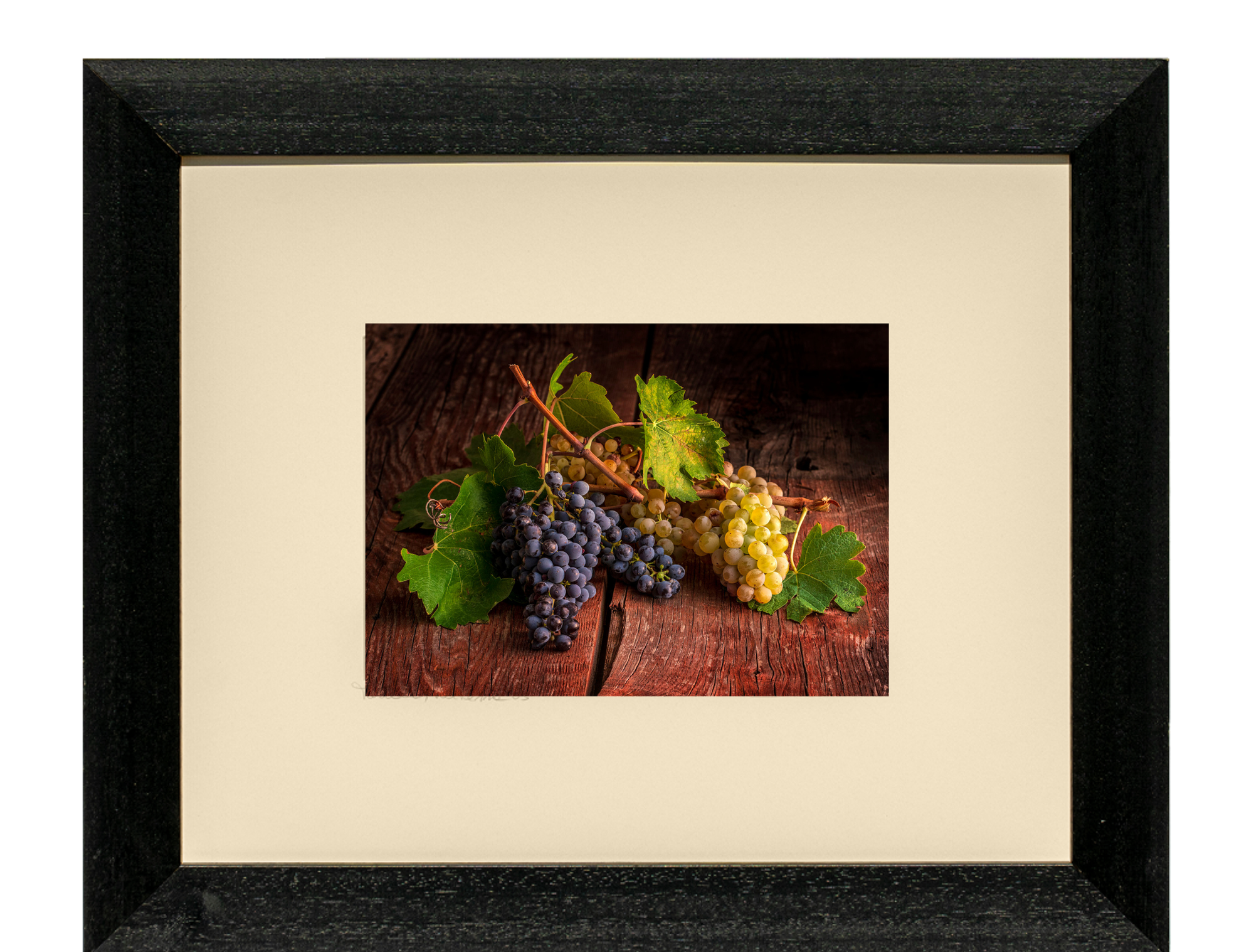 Symphony of Grapes - Duccio Nacci