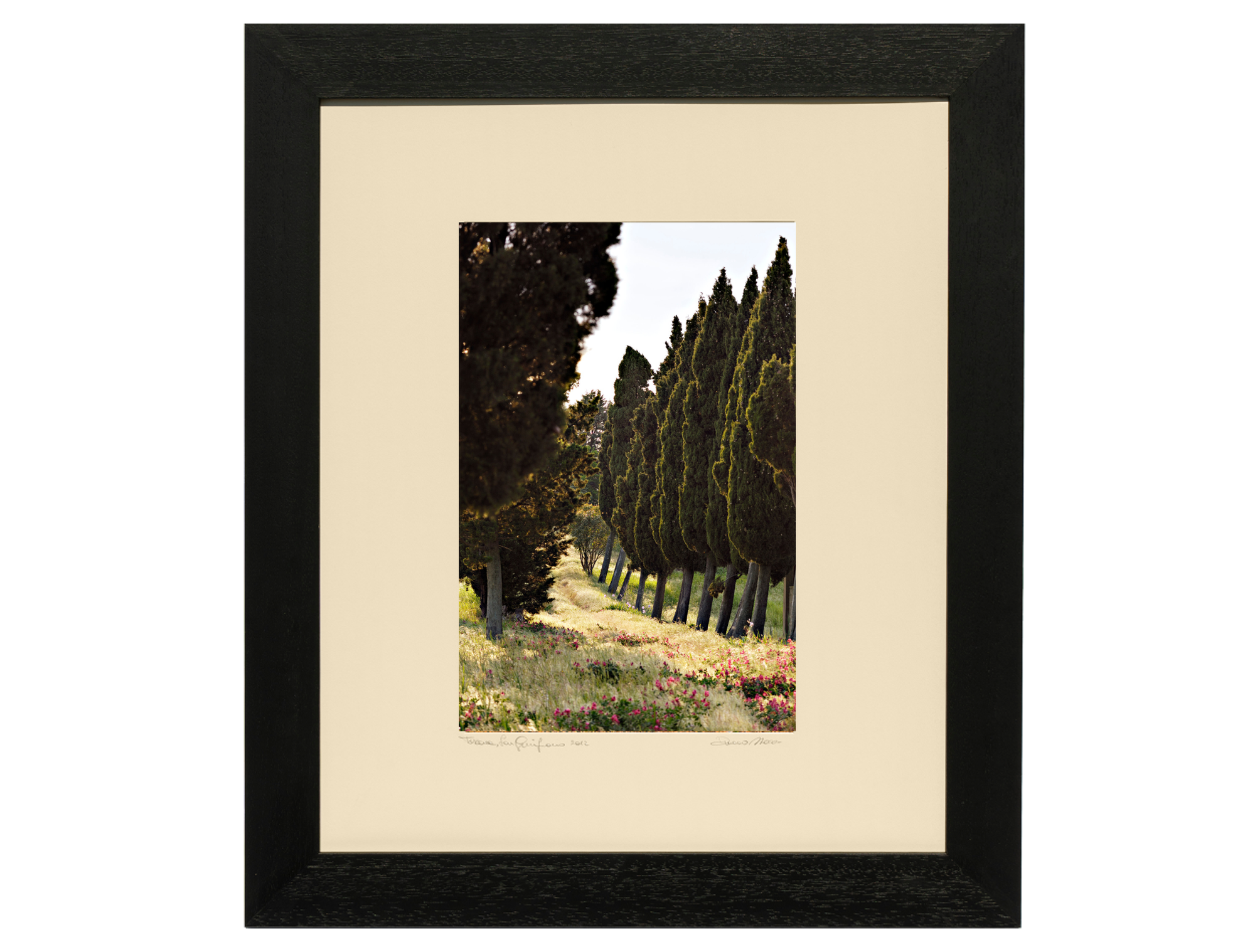 Tuscan Path - Duccio Nacci