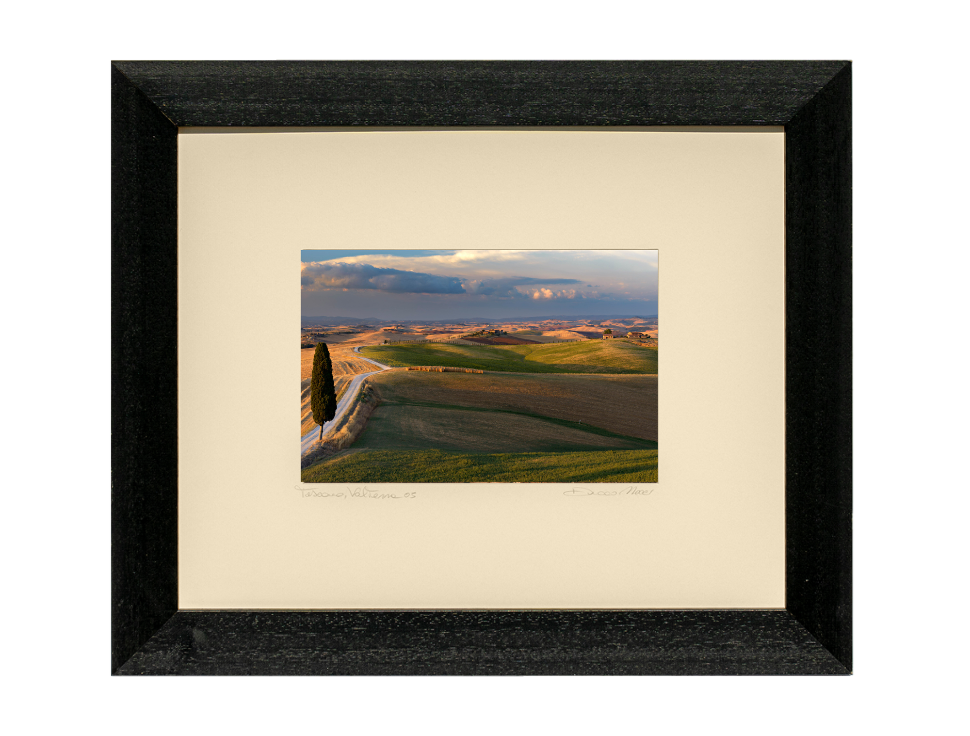 Golden Tuscan Hills - Duccio Nacci