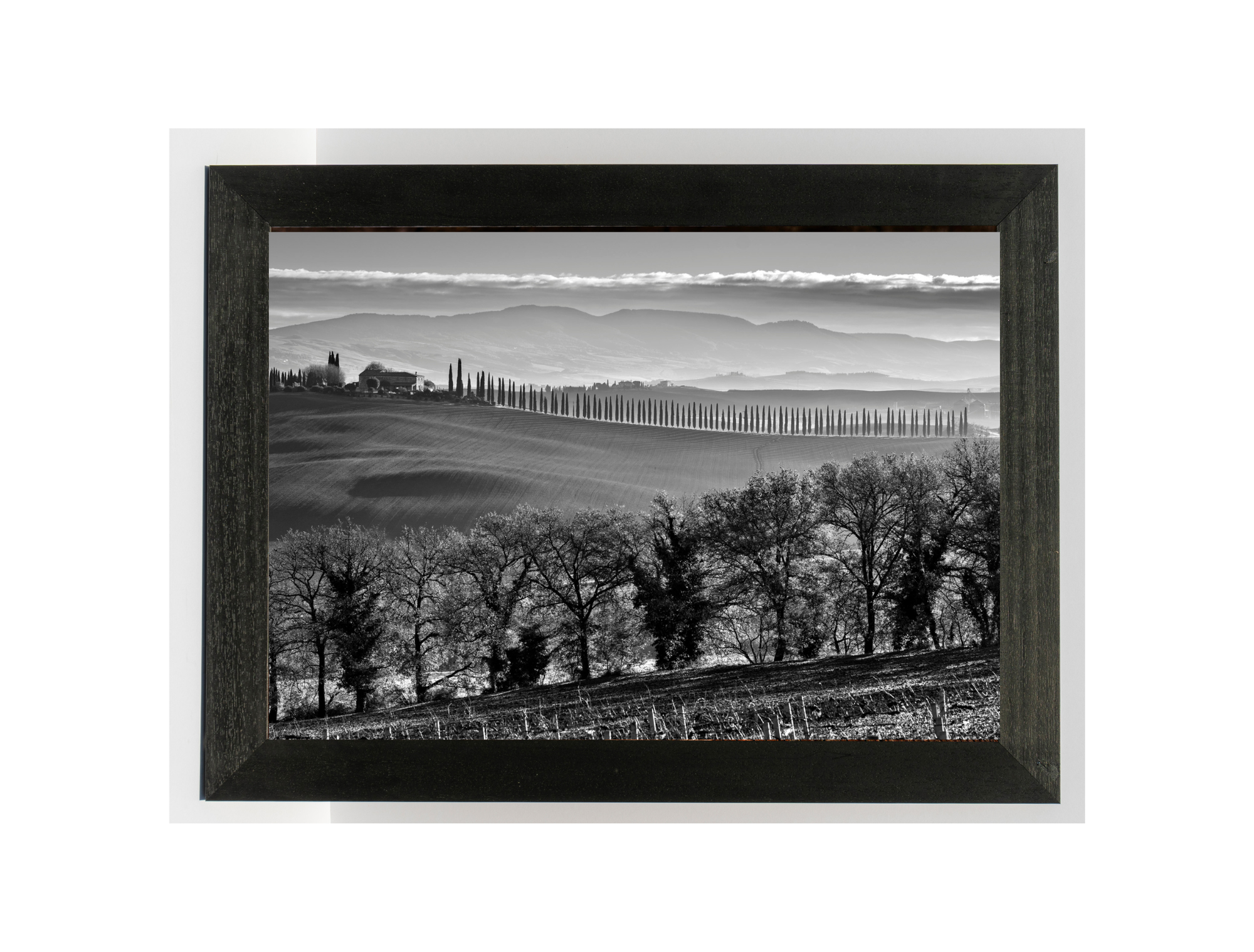 Tuscan Silence - Duccio Nacci