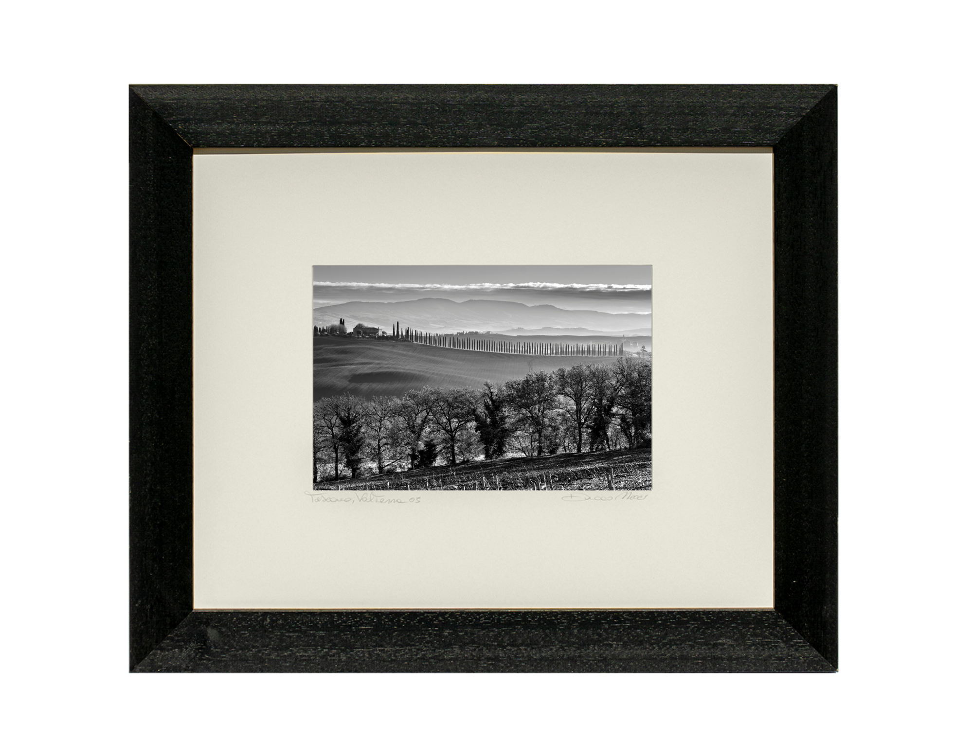 Tuscan Silence - Duccio Nacci