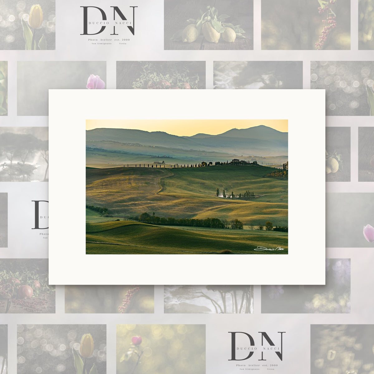 Harmony of Val d'Orcia – fine art print by Duccio Nacci, size XS, print only on A2 paper (42 × 59.4 cm)