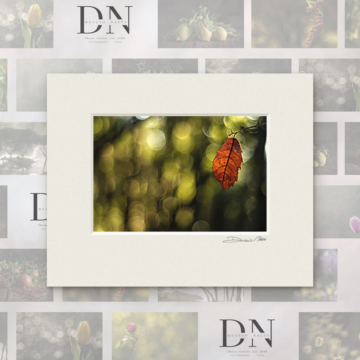 Autumn Leaf