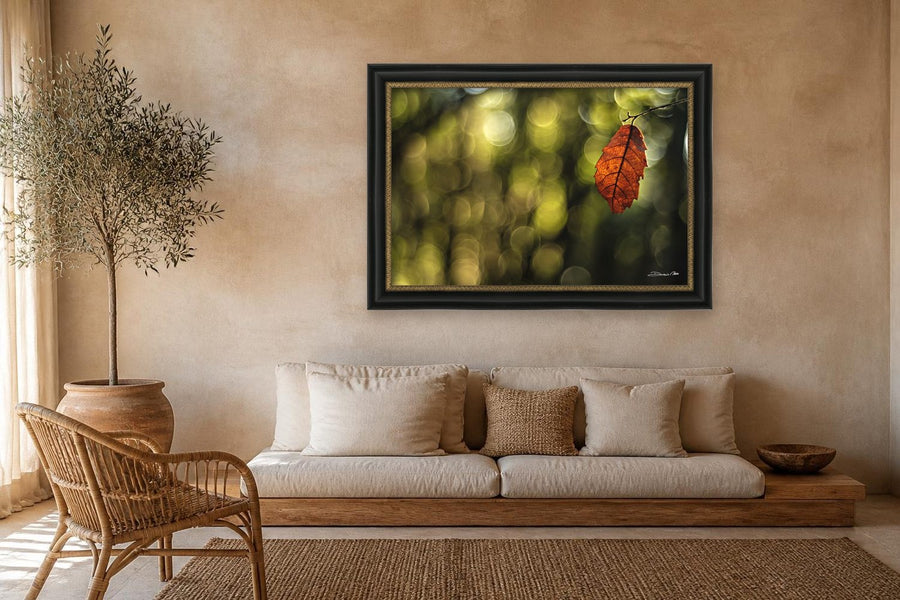 Feuille d'automne