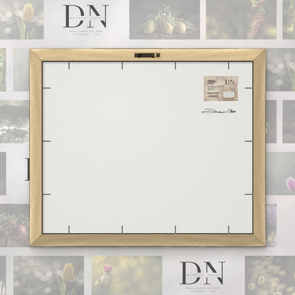 Cathedral of Cypress - Horizontal – fine art print by Duccio Nacci, back of the frame with signed label