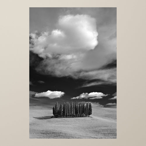 Cathedral of Cypress - Vertical – A row of cypresses on a Tuscan hill as beams of light break through the clouds – photograph by Duccio Nacci