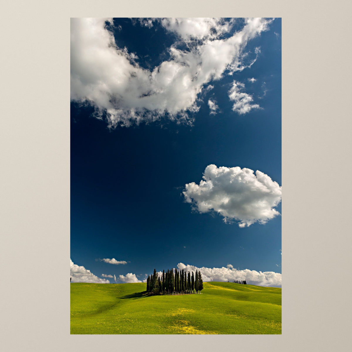 Cypress Island - Vertical – A small island of cypresses on green Tuscan hills under a deep blue sky – photograph by Duccio Nacci