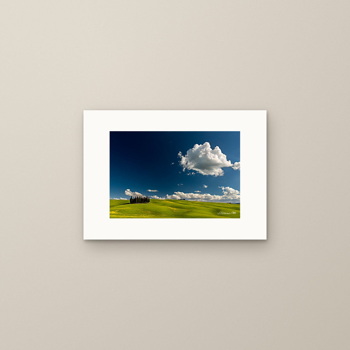Cypress Island – fine art print by Duccio Nacci, size S, print only on A3 paper (29.7 × 42 cm)