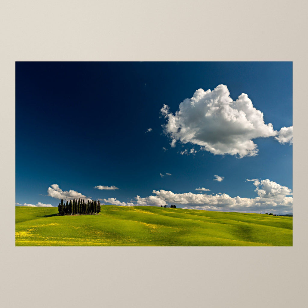 Cypress Island – A small island of cypresses on green Tuscan hills under a deep blue sky – photograph by Duccio Nacci