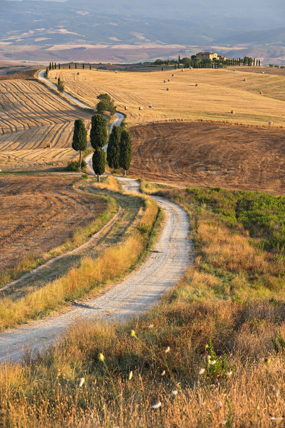 Chemin doré – Duccio Nacci