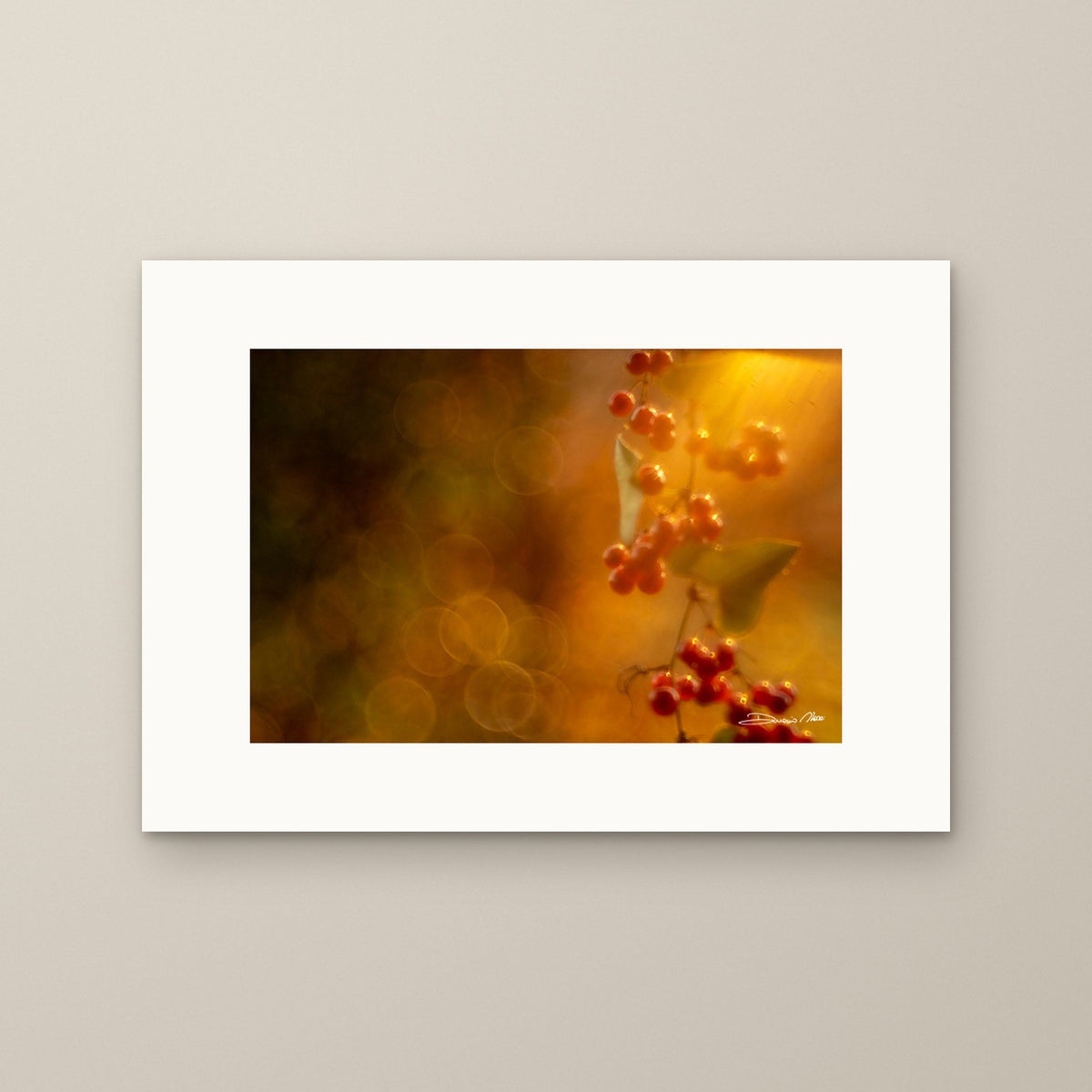 Glossy Berries – fine art print by Duccio Nacci, print only on A2 paper (42 × 59.4 cm)