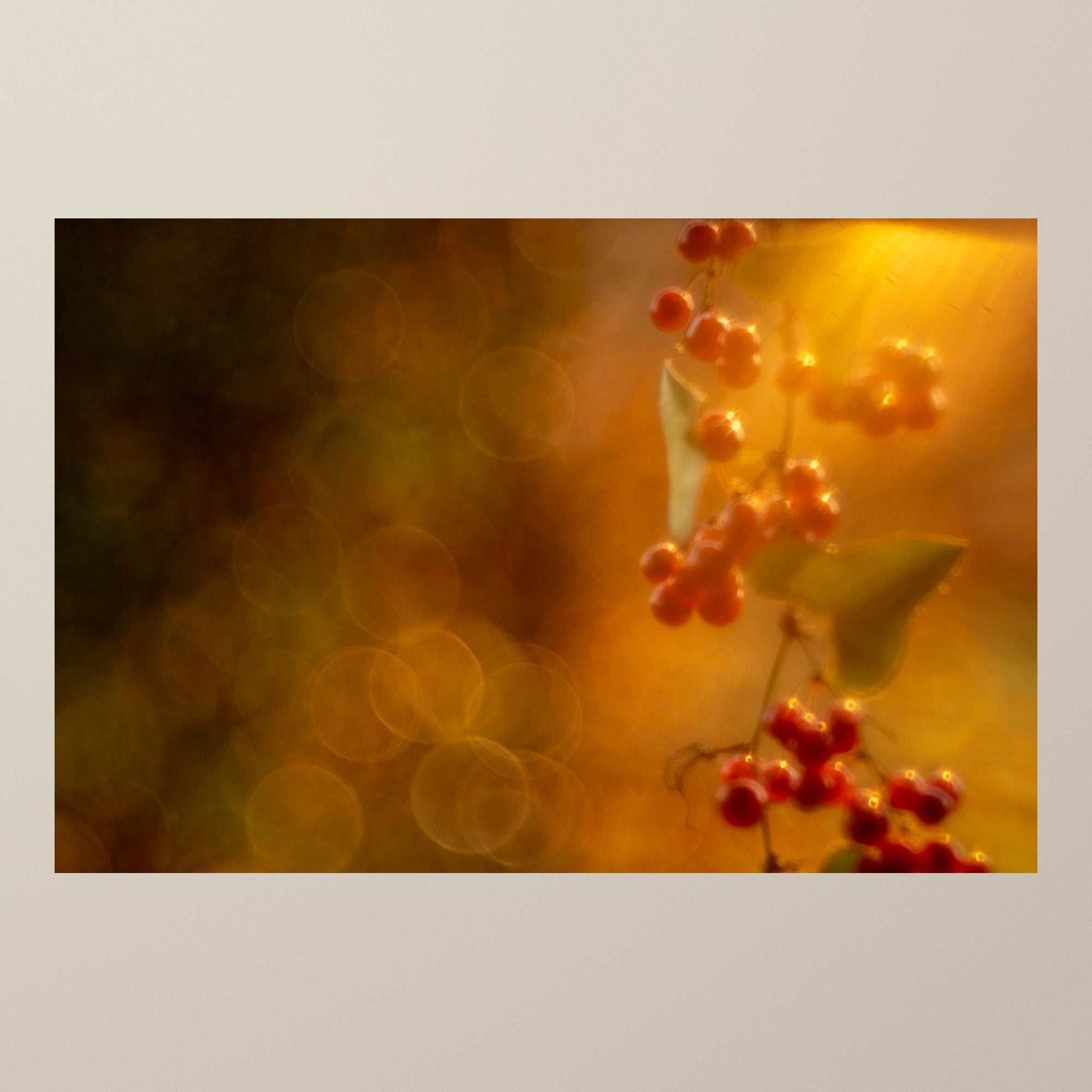Glossy Berries