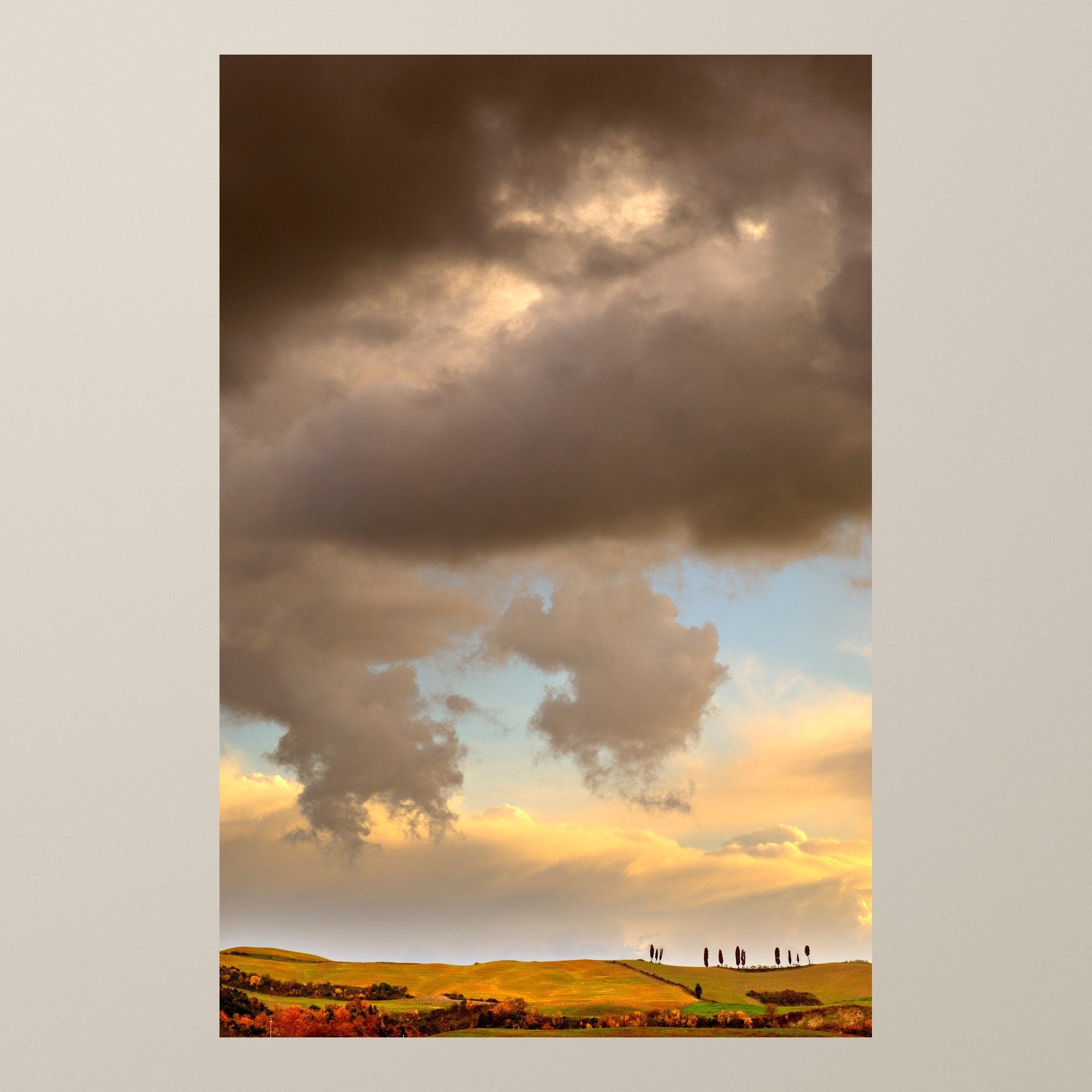 Colline d'oro