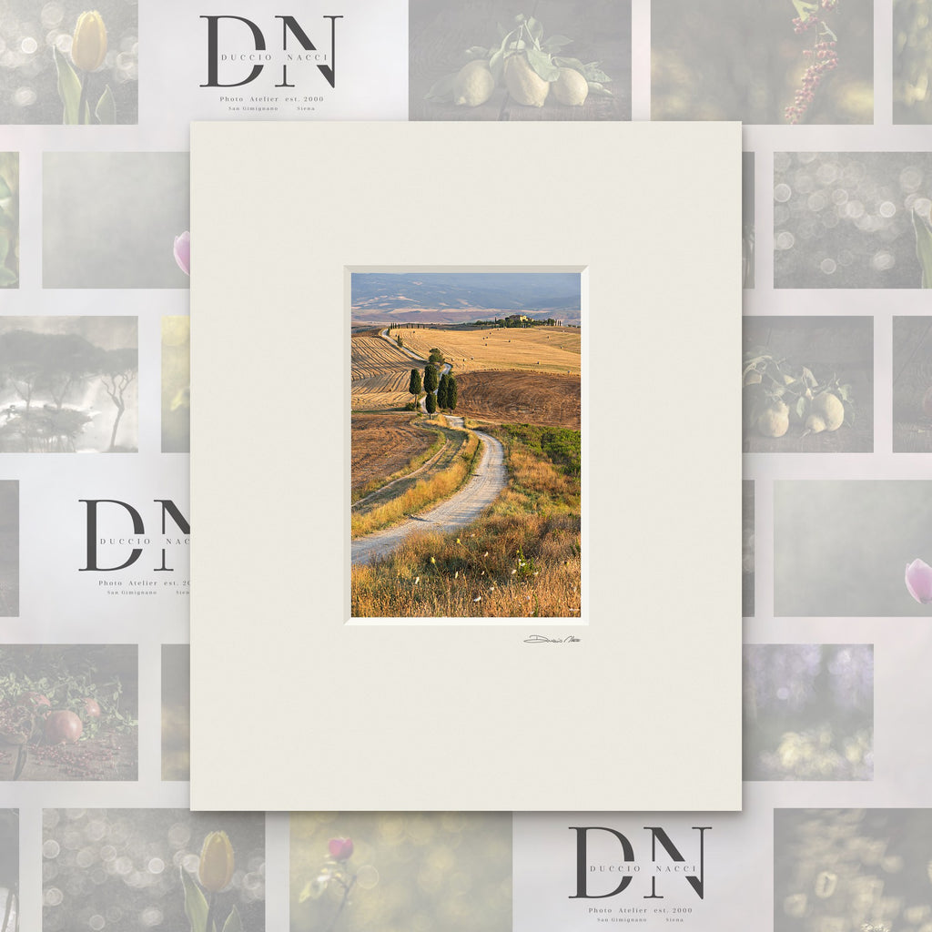 Chemin doré – tirage d'art de Duccio Nacci, format 24×30, tirage avec passe-partout blanc
