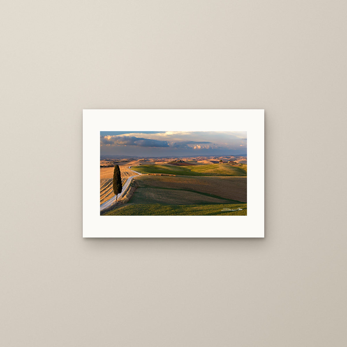 Golden Tuscan Hills – fine art print by Duccio Nacci, size S, print only on A3 paper (29.7 × 42 cm)