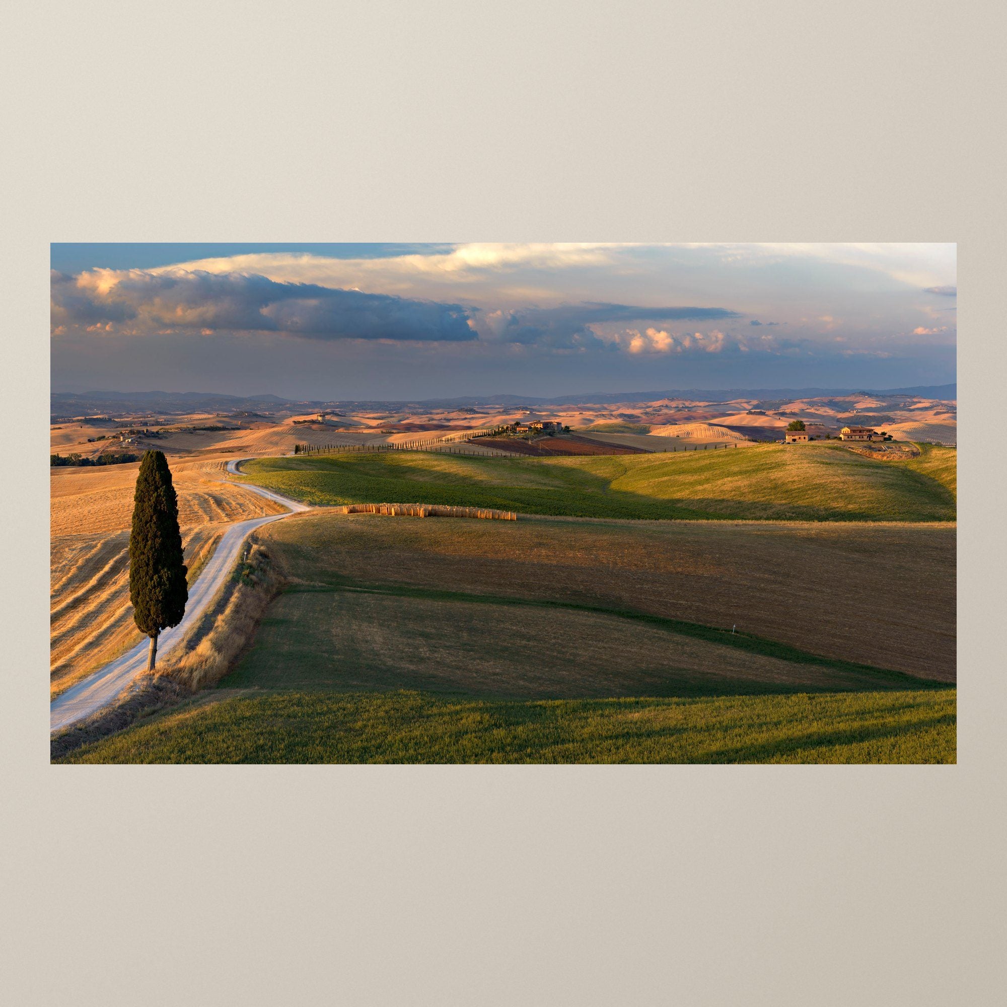 Golden Tuscan Hills