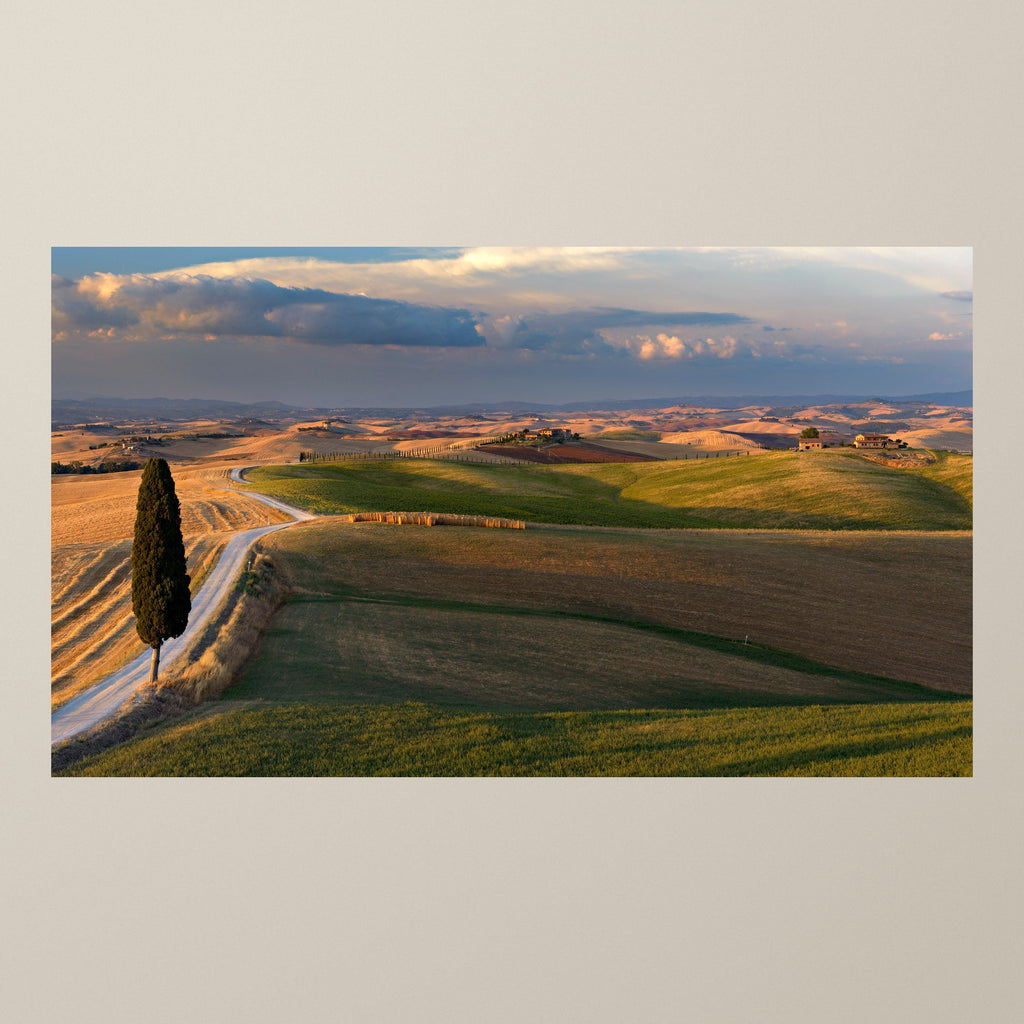 Golden Tuscan Hills – Golden fields and rolling Tuscan hills in warm golden-hour light – photograph by Duccio Nacci