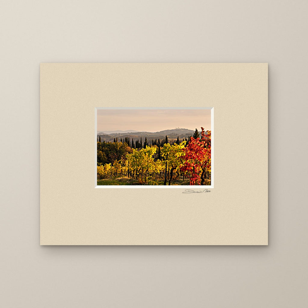 Golden Vines – fine art print by Duccio Nacci, size 24×30, print with white mat