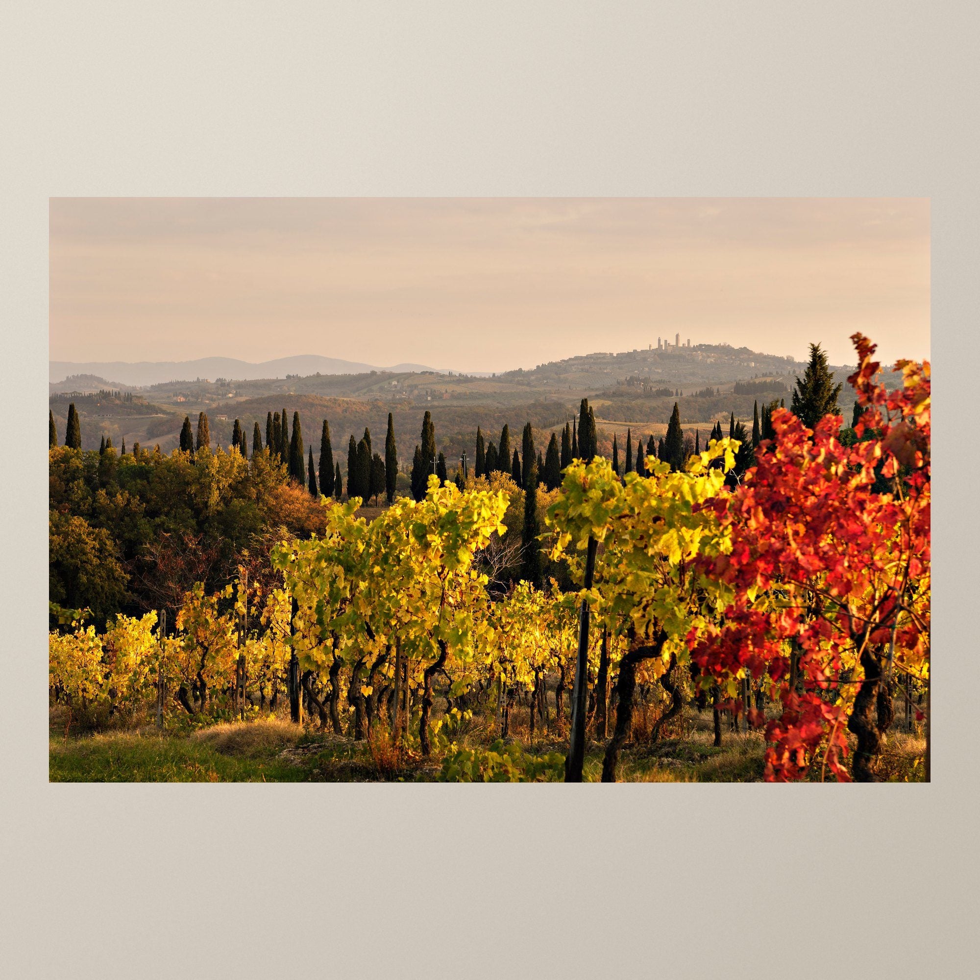 Golden Vines