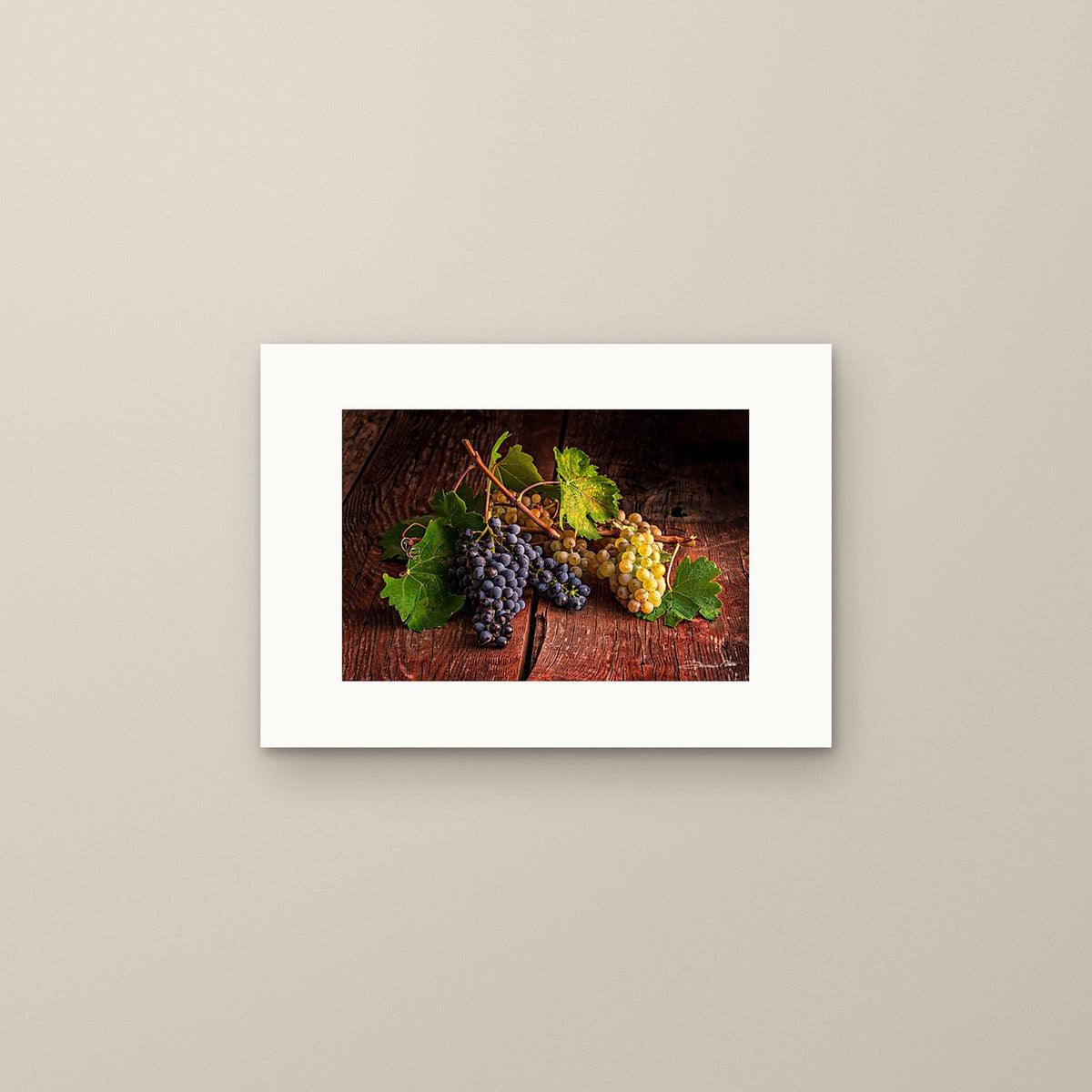 Symphony of Grapes – fine art print by Duccio Nacci, size S, print only on A3 paper (29.7 × 42 cm)