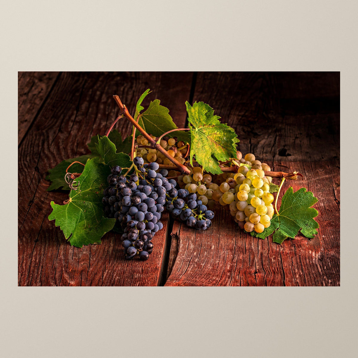 Symphony of Grapes – Clusters of golden and dark grapes with vine leaves on aged wood – photograph by Duccio Nacci