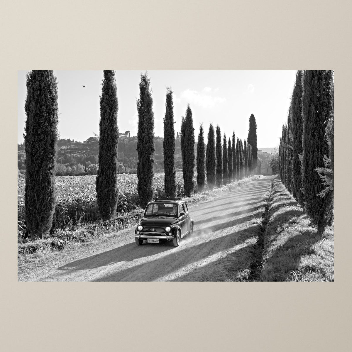 Italian Travels in the 60s - Duccio Nacci