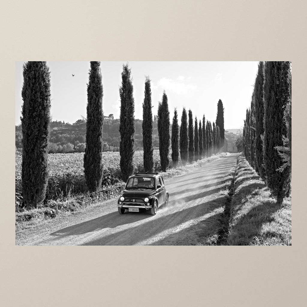 Italian Travels in the 60s – A Fiat 500 on a road lined with tall cypresses, long shadows on the asphalt – photograph by Duccio Nacci