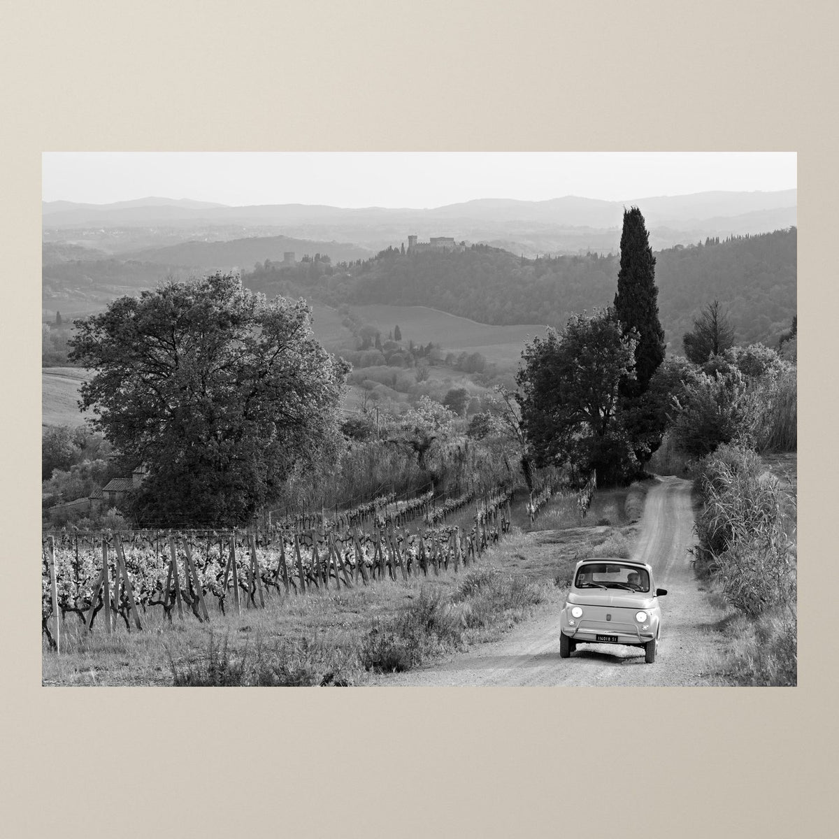Journey Through the Vineyards - Duccio Nacci
