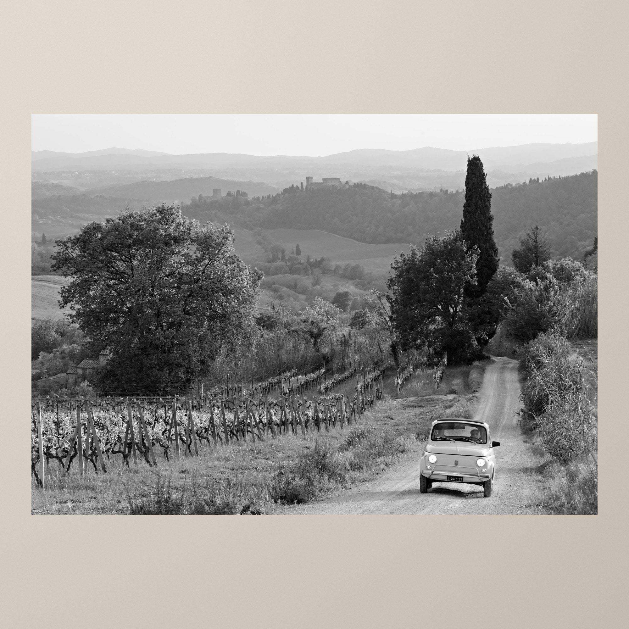 Viaggio tra le vigne