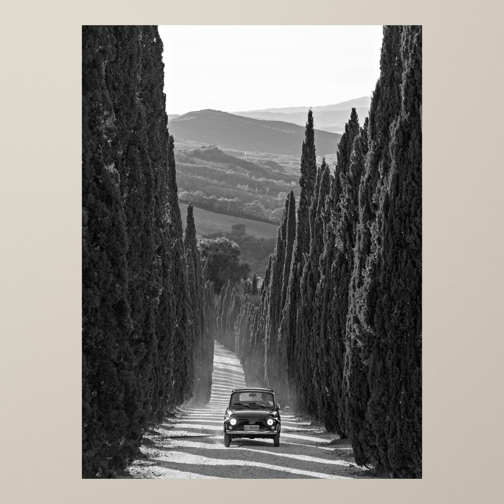 La Dolce Vita – A Fiat 500 drives down a tall cypress avenue toward the Tuscan hills – photograph by Duccio Nacci