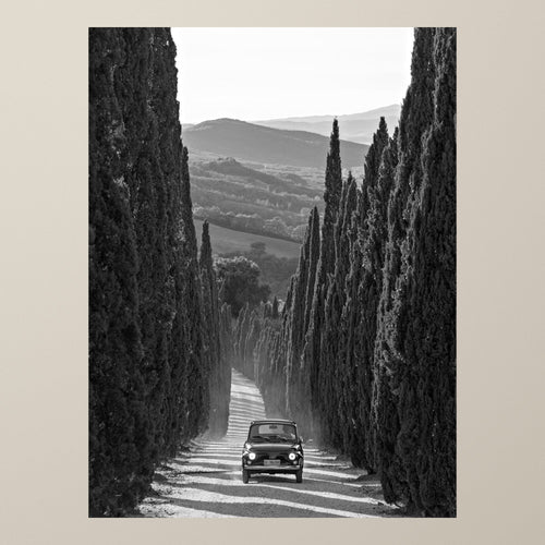 La Dolce Vita – A Fiat 500 drives down a tall cypress avenue toward the Tuscan hills – photograph by Duccio Nacci