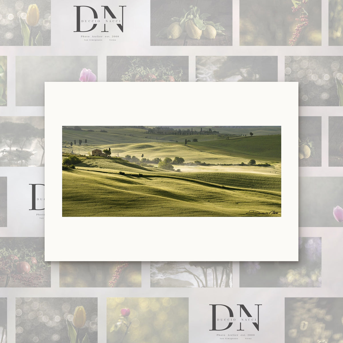 Morning Harmony – fine art print by Duccio Nacci, size XS, print only on A2 paper (42 × 59.4 cm)