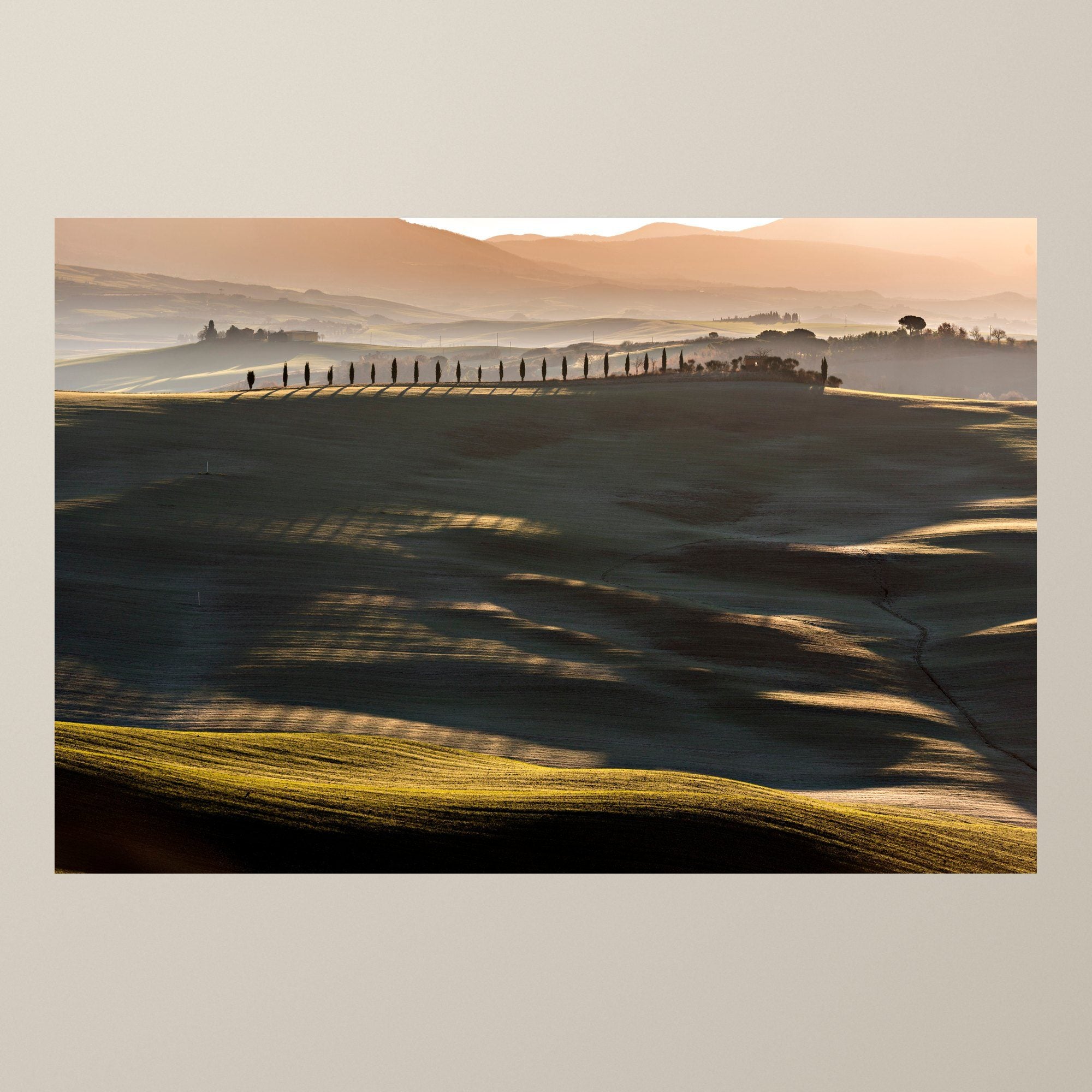 The Golden Ridge