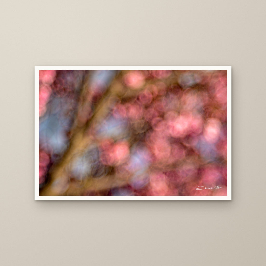 Pink Blossom Dream – fine art print by Duccio Nacci, size M/L/XL/XXL, print only