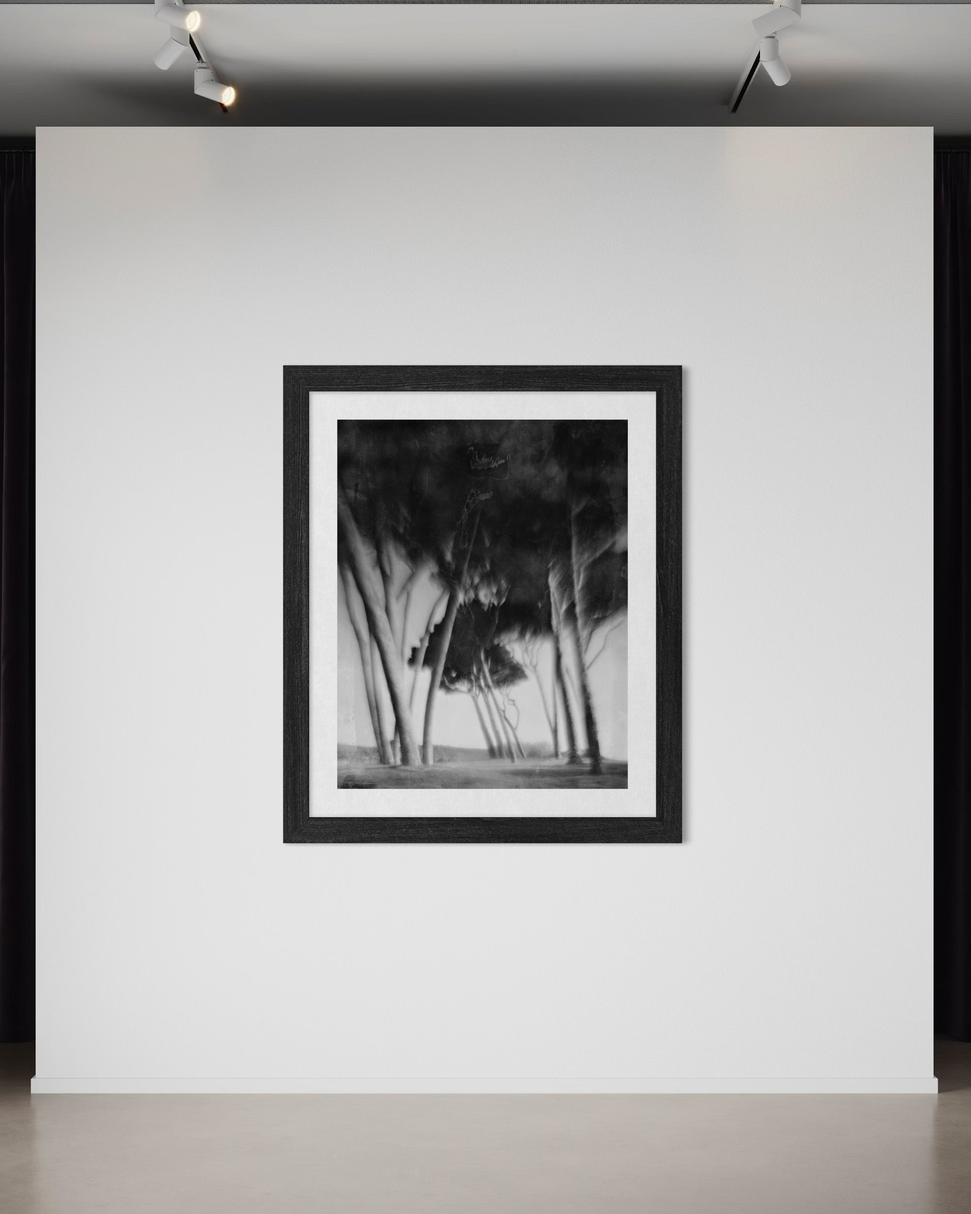 Whispering Pines - Duccio Nacci