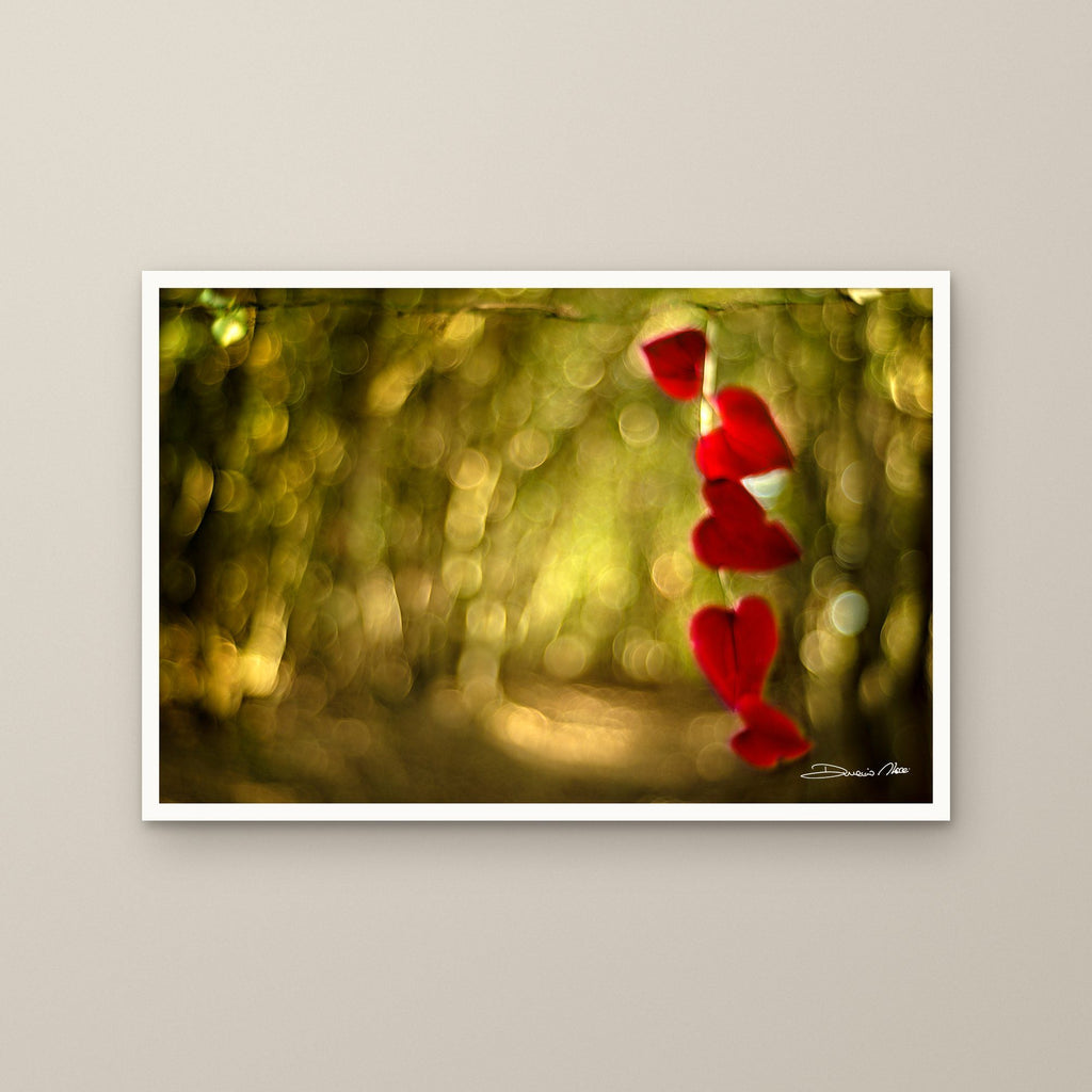 Red Hearts – fine art print by Duccio Nacci, size M/L/XL/XXL, print only
