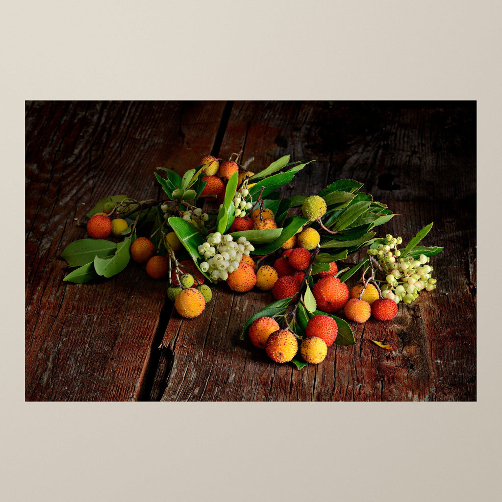 Red of the Strawberry Tree – Red and ochre strawberry-tree fruits beside white flower clusters – photograph by Duccio Nacci