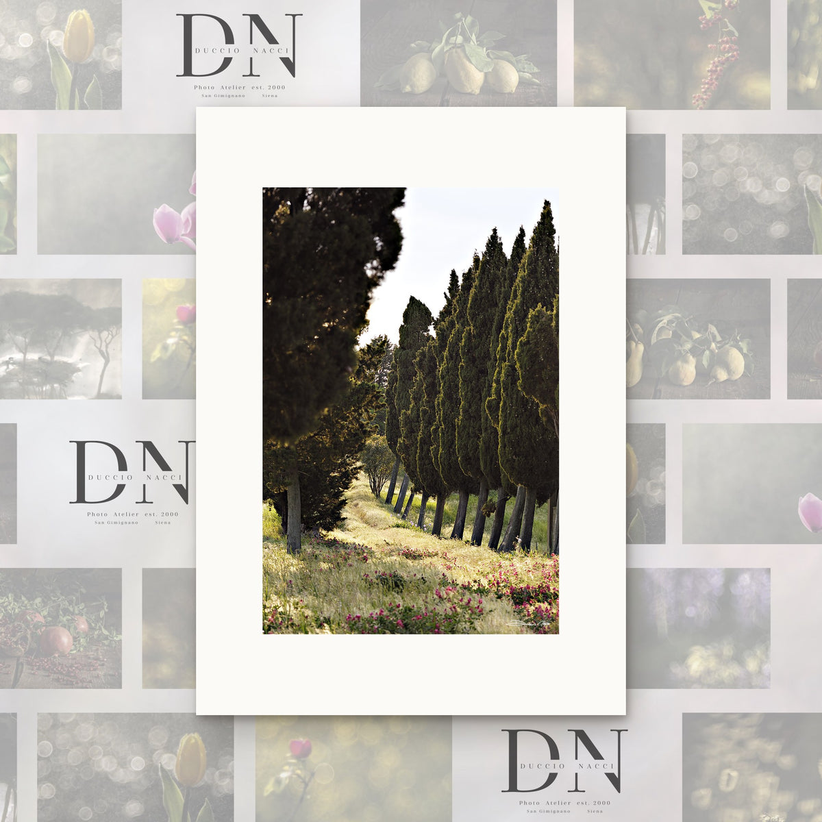 Tuscan Path – fine art print by Duccio Nacci, size XS, print only on A2 paper (42 × 59.4 cm)