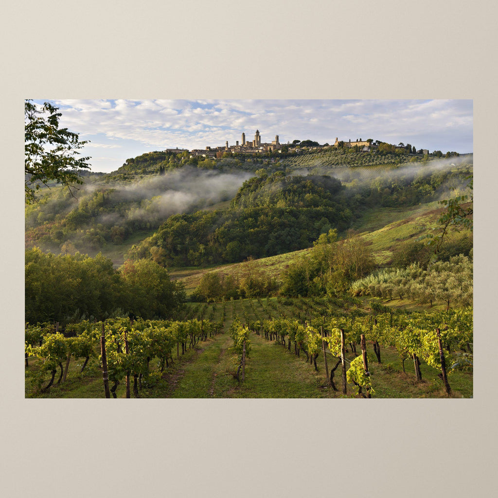 San Gimignano Awakening – Morning mist over the vineyards with San Gimignano on the horizon – photograph by Duccio Nacci