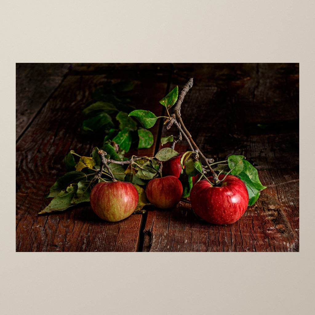 Solitude of an Apple – Red and green apples with leafy branches on worn wood – photograph by Duccio Nacci
