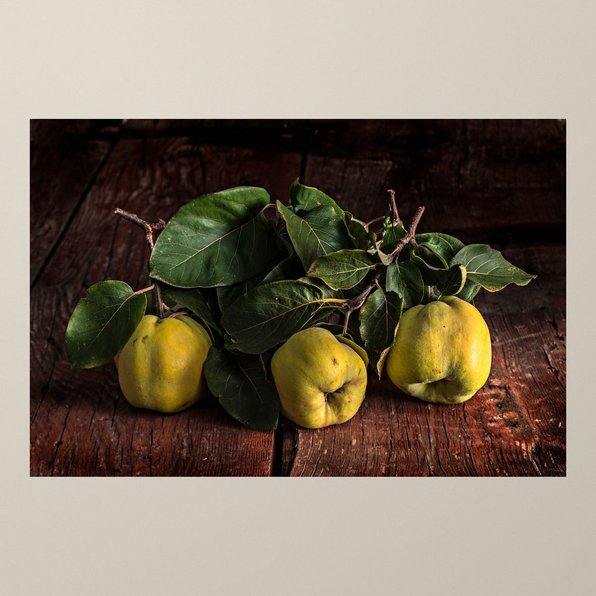 Soul of the Quince - Duccio Nacci