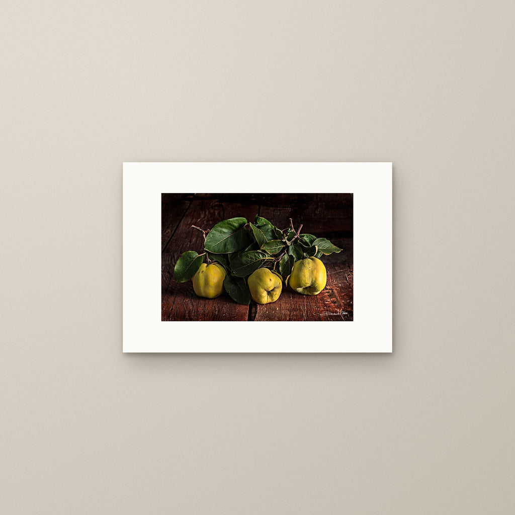 Soul of the Quince – fine art print by Duccio Nacci, size S, print only on A3 paper (29.7 × 42 cm)