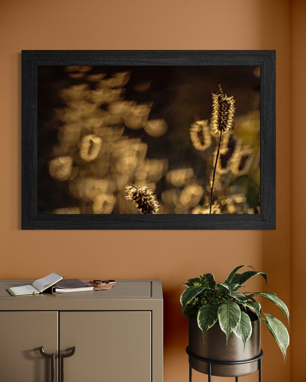 Foxtail Grasses - Duccio Nacci