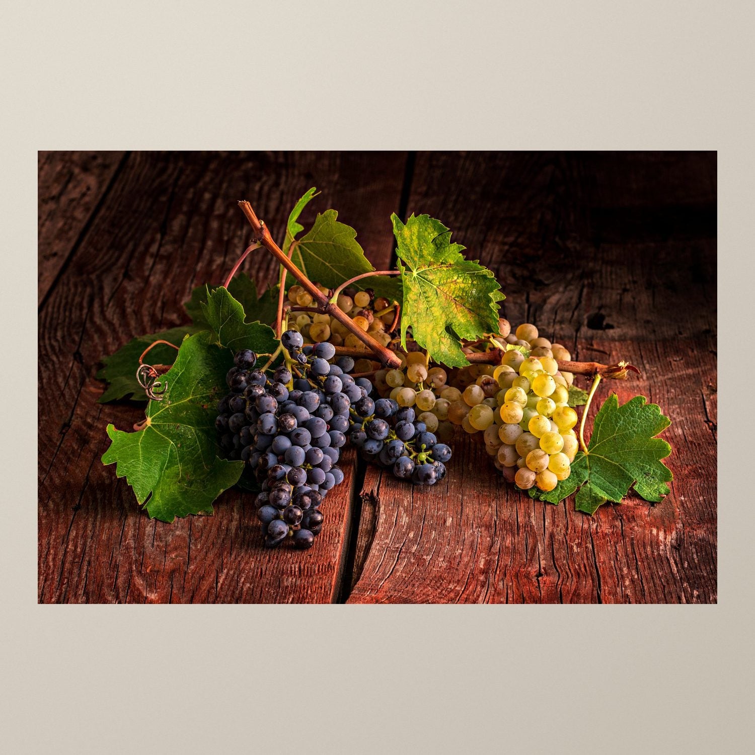 Symphony of Grapes
