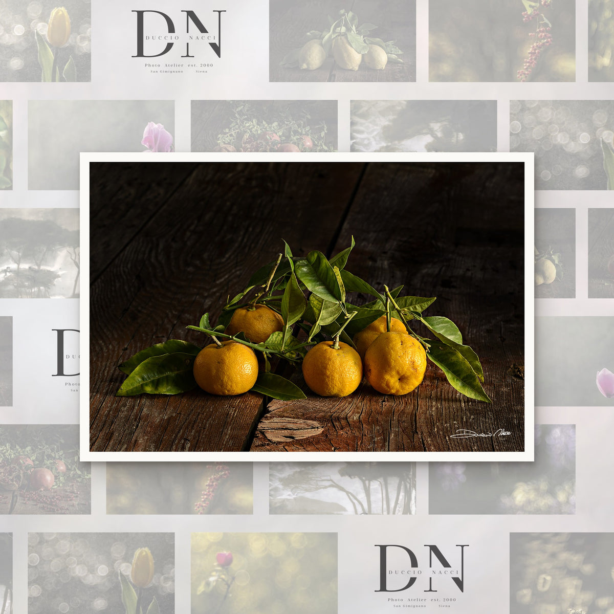 Tangerines – fine art print by Duccio Nacci, size L/XL/XXL, print only