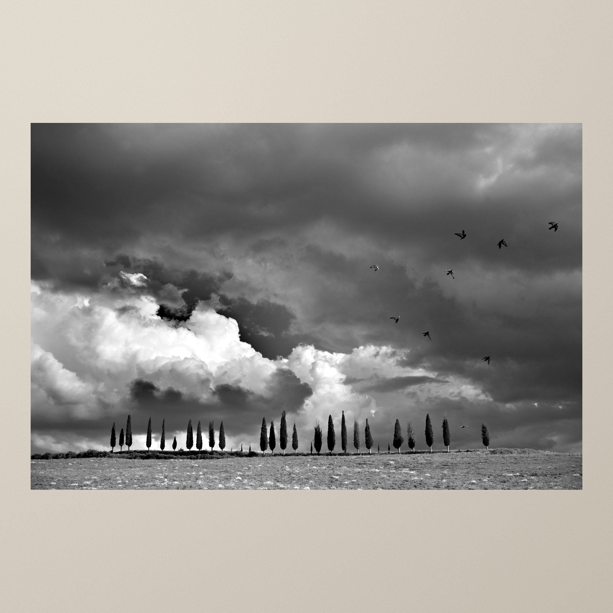 Il canto del cielo