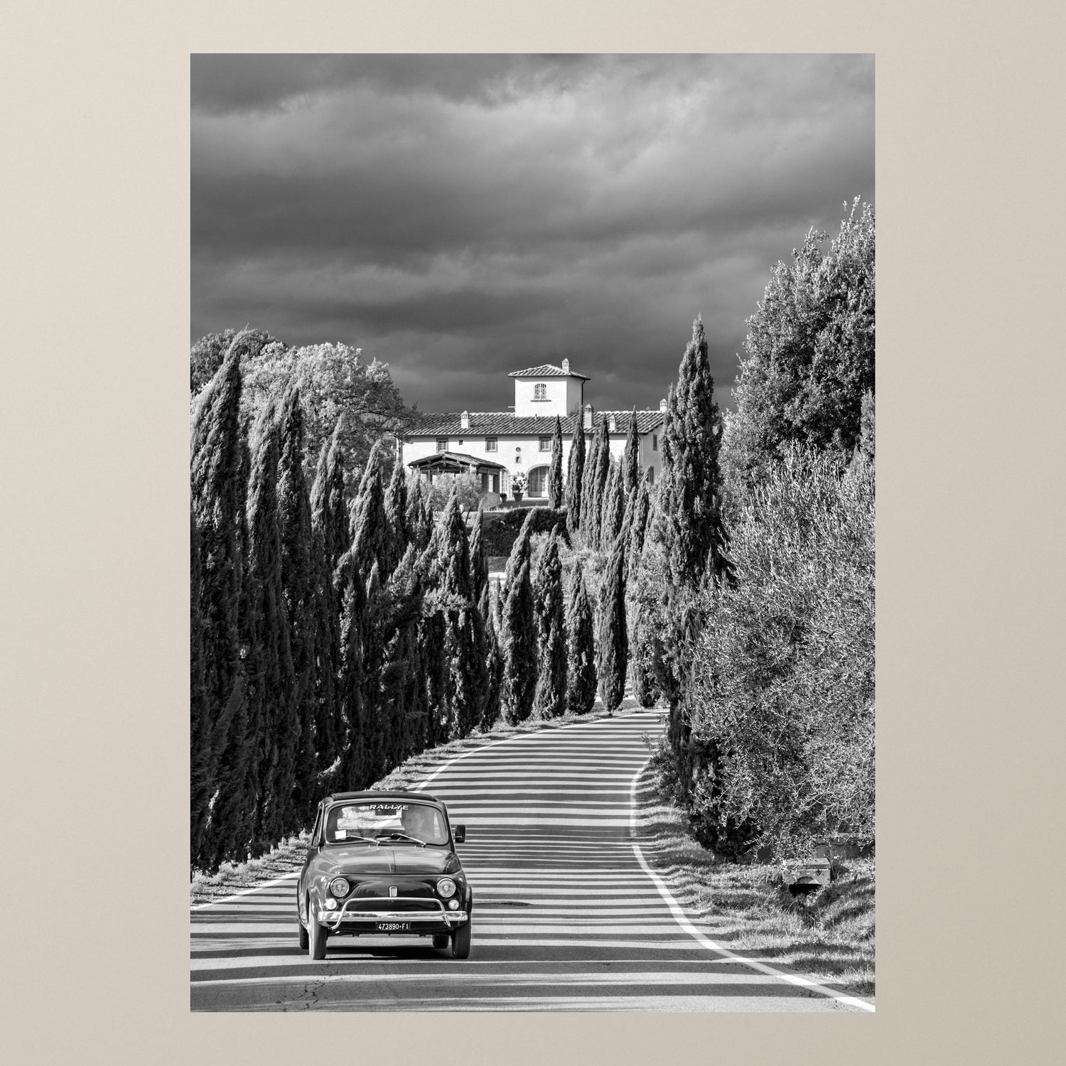 The Cypress Road