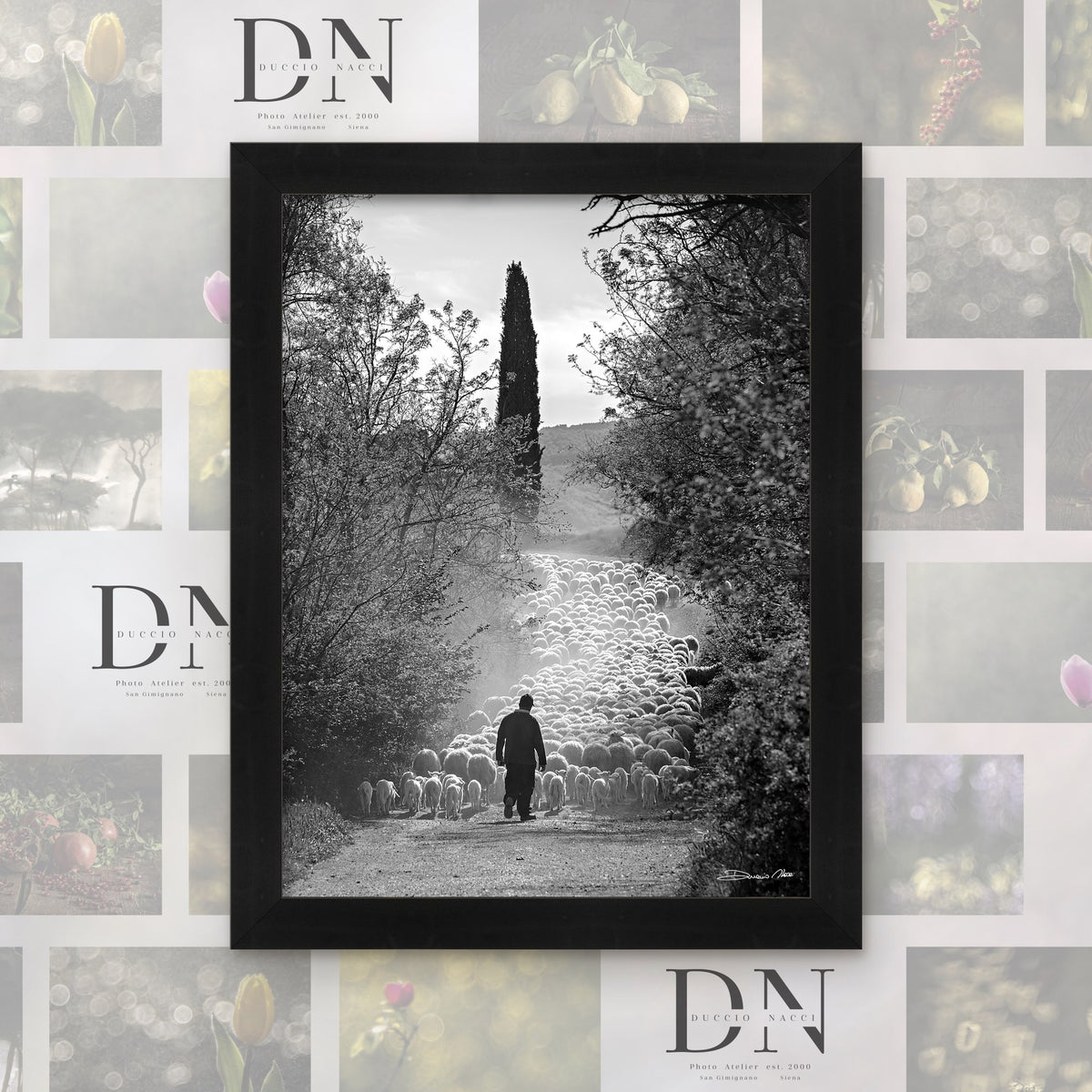 Le Chemin du troupeau – tirage d'art de Duccio Nacci, format L/XL/XXL, avec cadre noir
