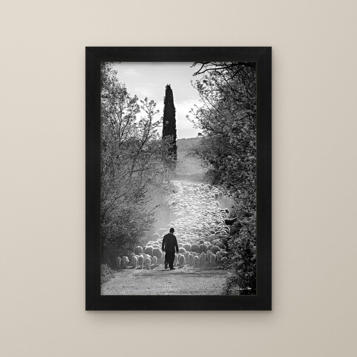 The Flock's Way – fine art print by Duccio Nacci, size L/XL/XXL, with black frame